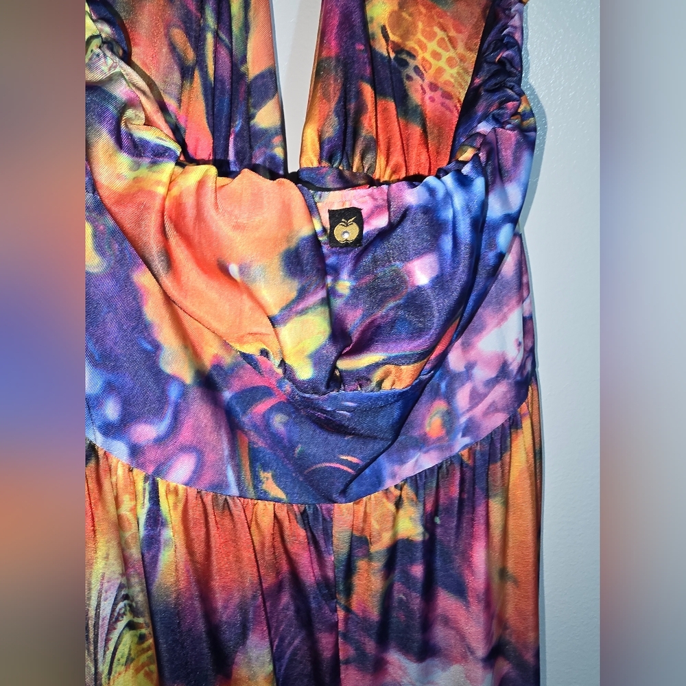 APPLEBOTTOM DRESS - Picture 2 of 6